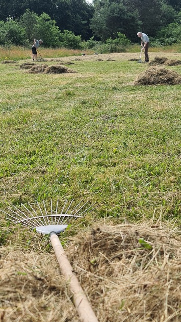 Hampton Heath Hay-raking 2023