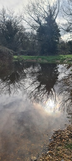 Hampton Heath Winter Pond 2024-02-25