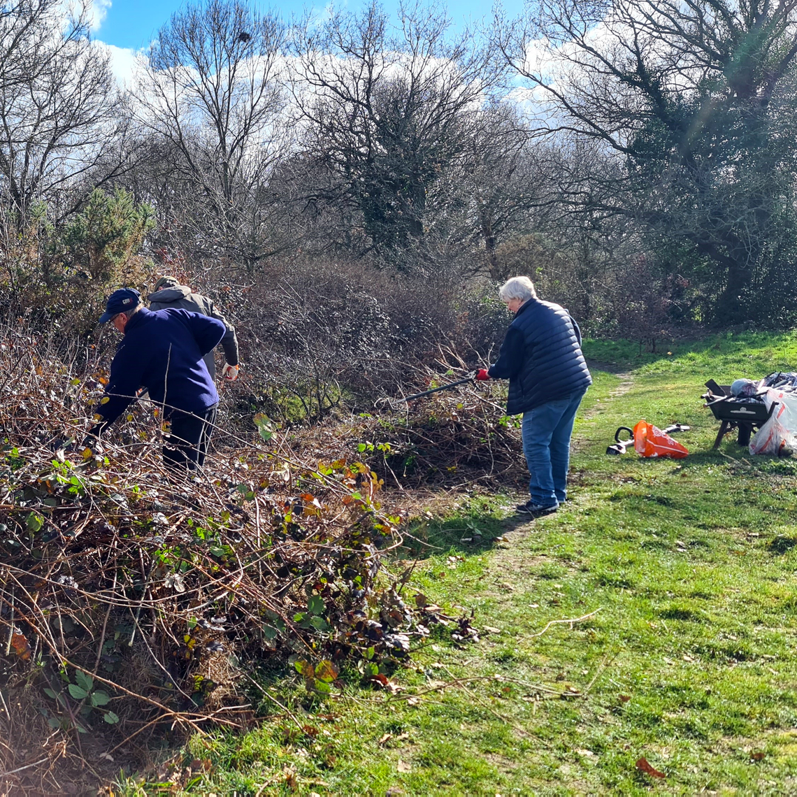 Hamptpn Heath Friends clearing brambles from a watercourse